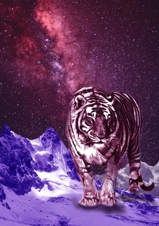 Alone, digital collage by DiArsanima
