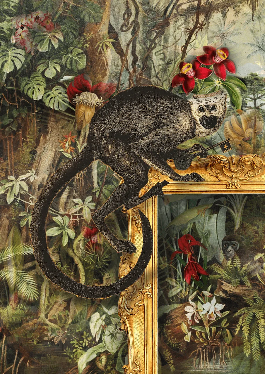 Monkey, digital collage by DiArsanima