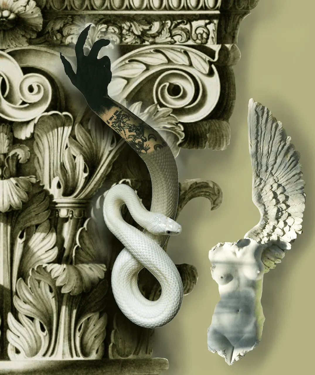 Snake Body, digital collage by DiArsanima